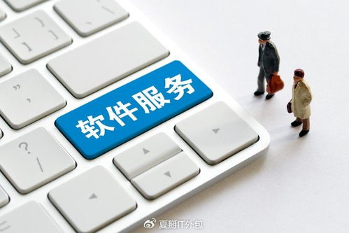 軟件開發(fā)板塊震蕩走強，上海IT運維外包迎發(fā)展新機遇